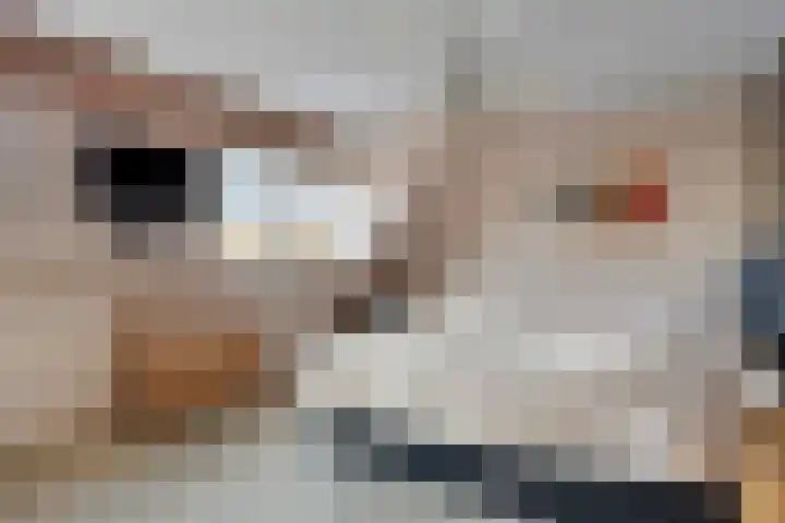 Rembrandtlaan 20 Nijkerk thumbnail 19