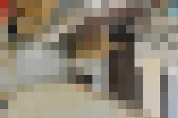 Rembrandtlaan 20 Nijkerk thumbnail 30