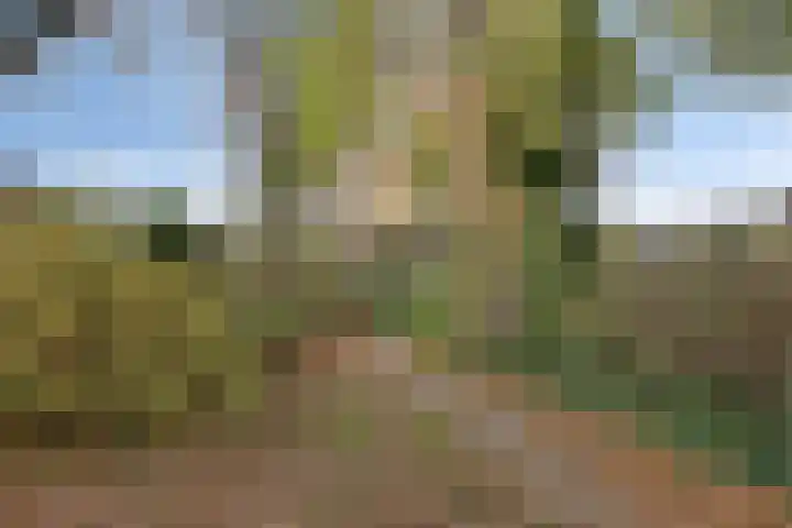 Rembrandtlaan 20 Nijkerk thumbnail 38