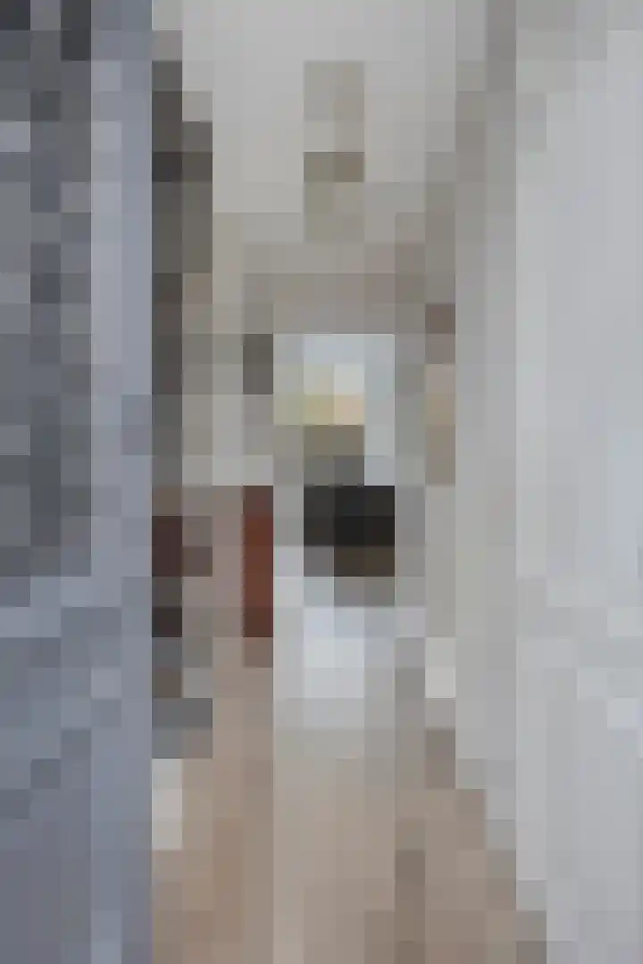 Rembrandtlaan 20 Nijkerk thumbnail 8