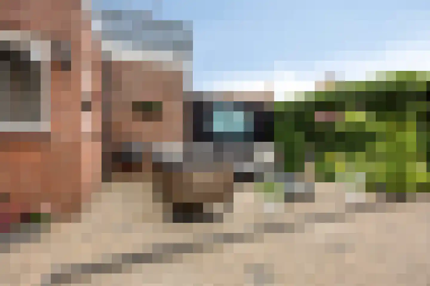 Rembrandtlaan 21 Stolwijk thumbnail 27