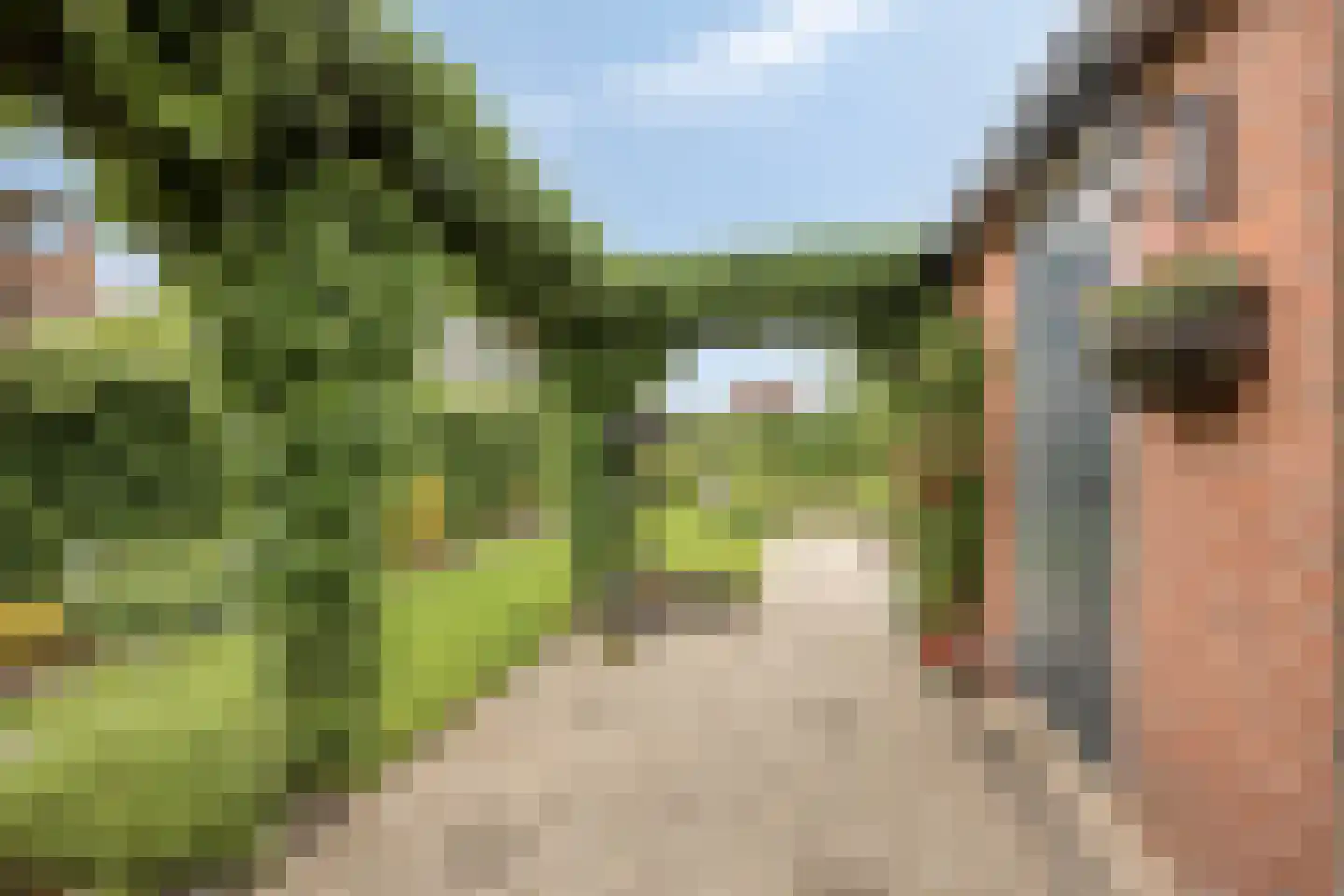 Rembrandtlaan 21 Stolwijk thumbnail 28