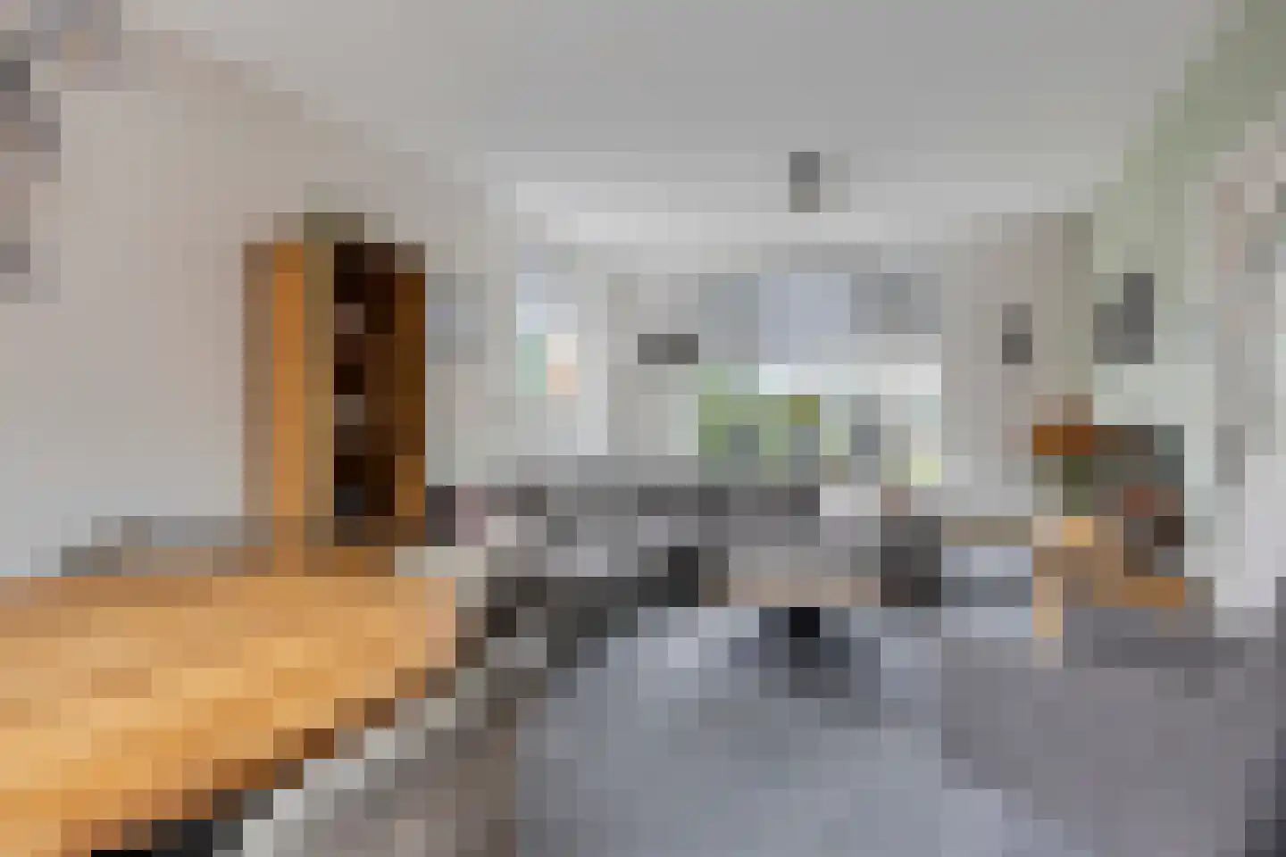 Rembrandtlaan 21 Stolwijk thumbnail 8