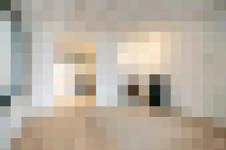 Rembrandtlaan 21 Veghel thumbnail 10