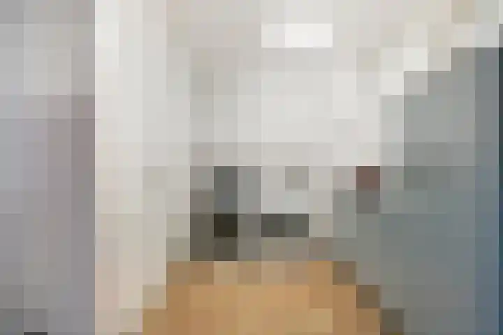 Rembrandtlaan 21 Veghel thumbnail 14