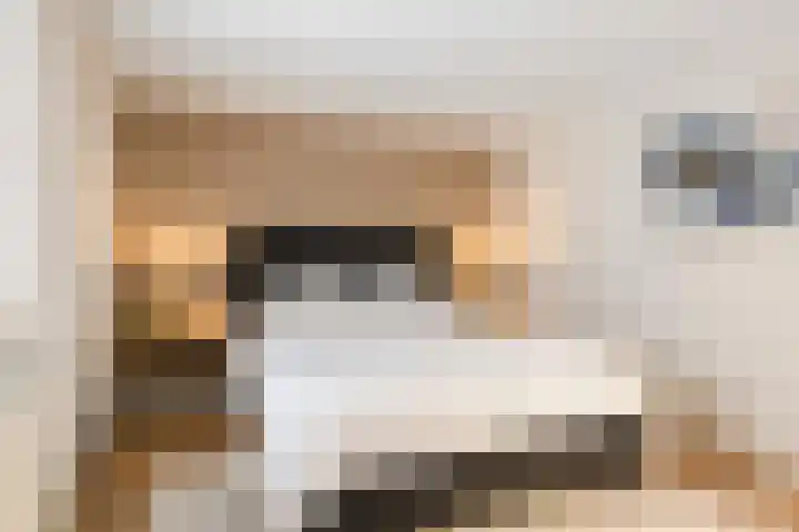 Rembrandtlaan 21 Veghel thumbnail 20