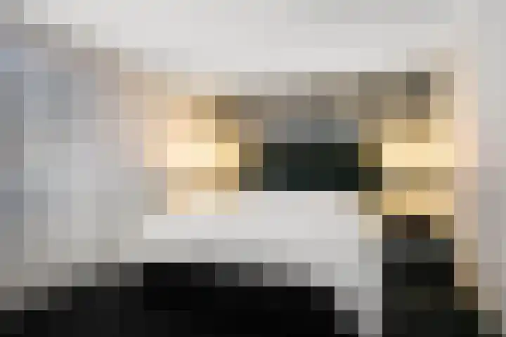 Rembrandtlaan 21 Veghel thumbnail 22