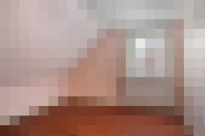 Rembrandtlaan 21 Veghel thumbnail 23