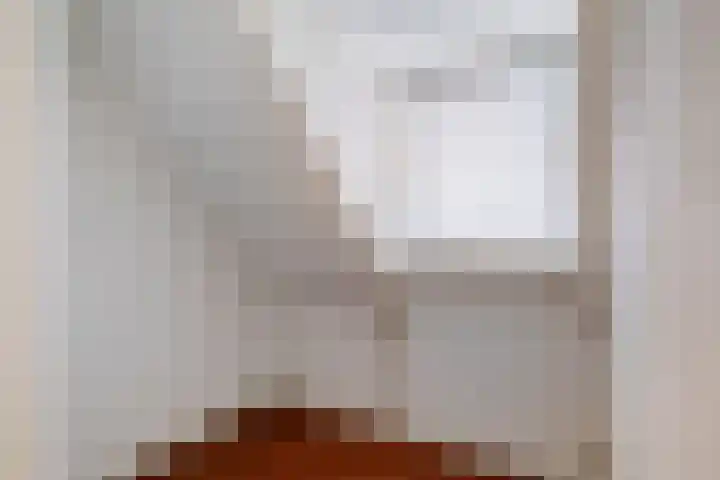Rembrandtlaan 21 Veghel thumbnail 31