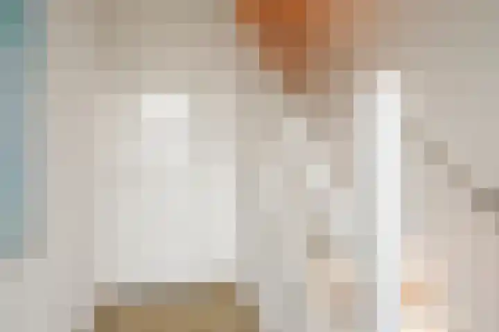 Rembrandtlaan 21 Veghel thumbnail 6