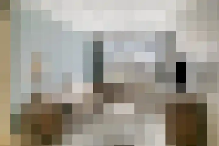 Rembrandtlaan 21 Veghel thumbnail 8