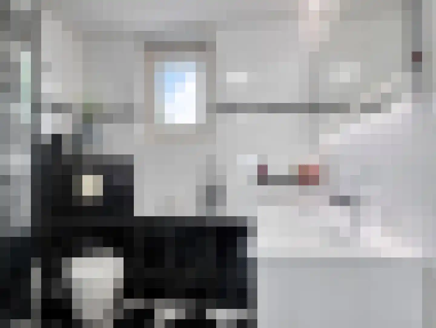Rembrandtlaan 21 Vleuten thumbnail 26