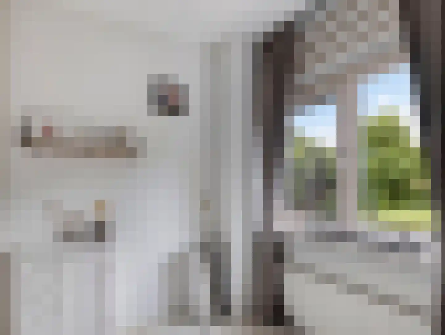 Rembrandtlaan 21 Vleuten thumbnail 27