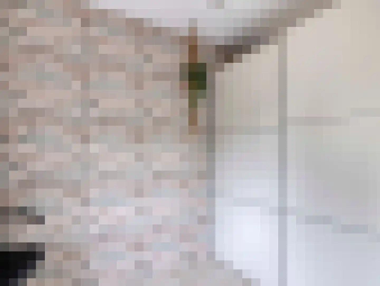 Rembrandtlaan 21 Vleuten thumbnail 29