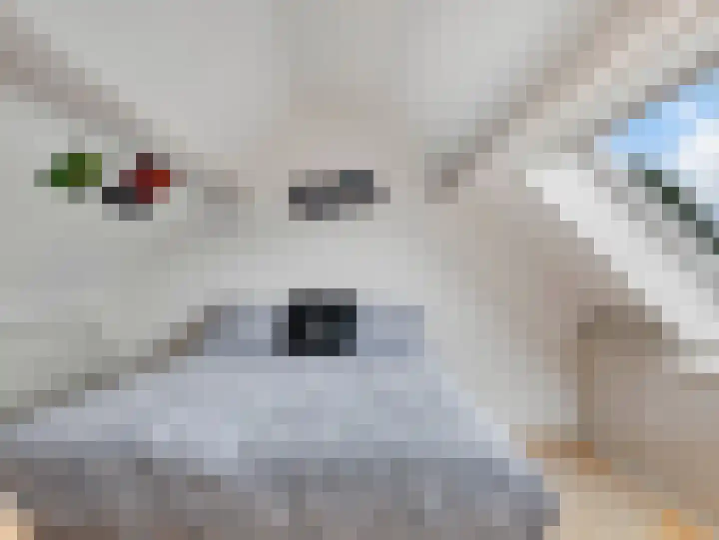 Rembrandtlaan 21 Vleuten thumbnail 32