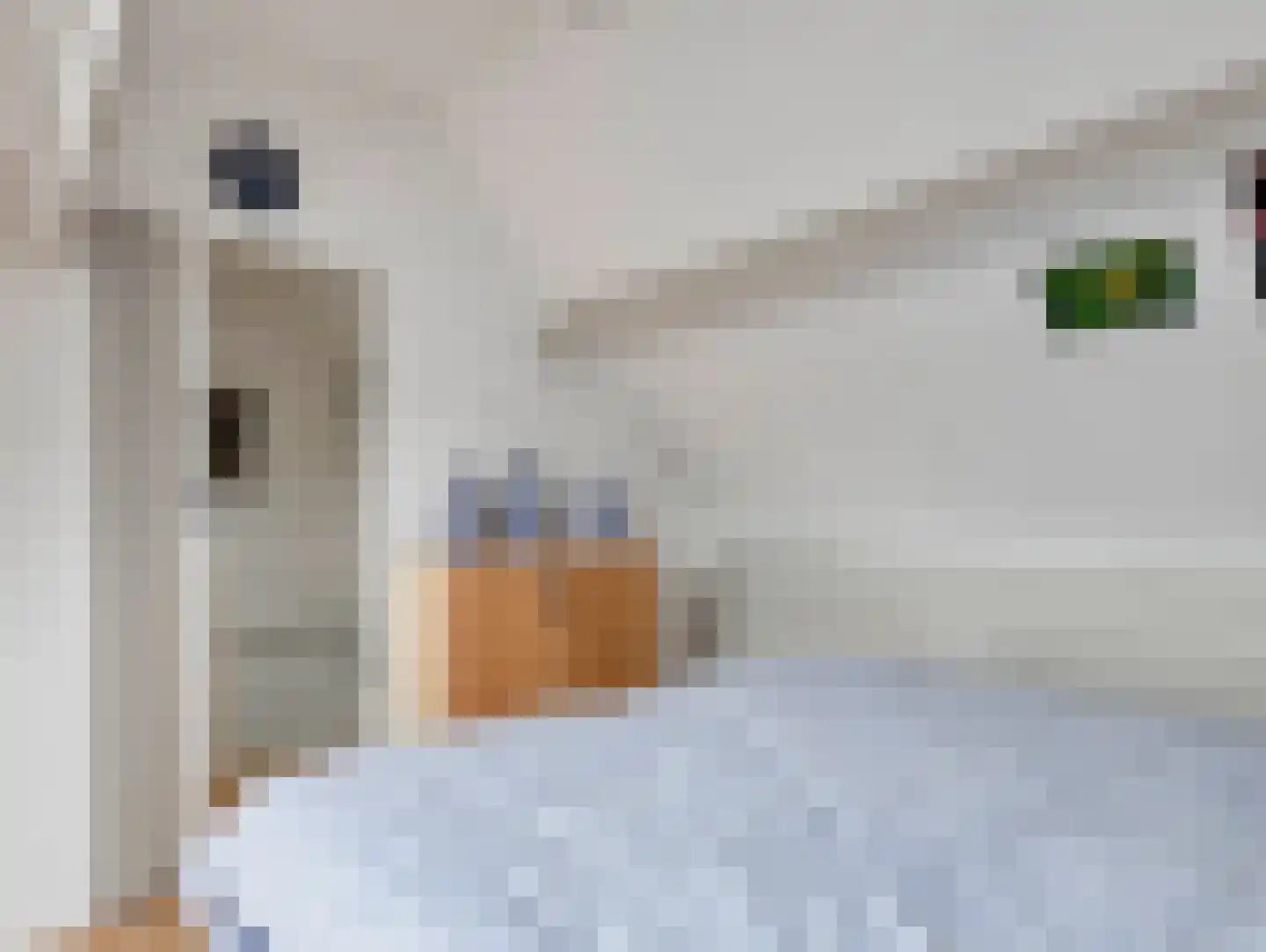 Rembrandtlaan 21 Vleuten thumbnail 33