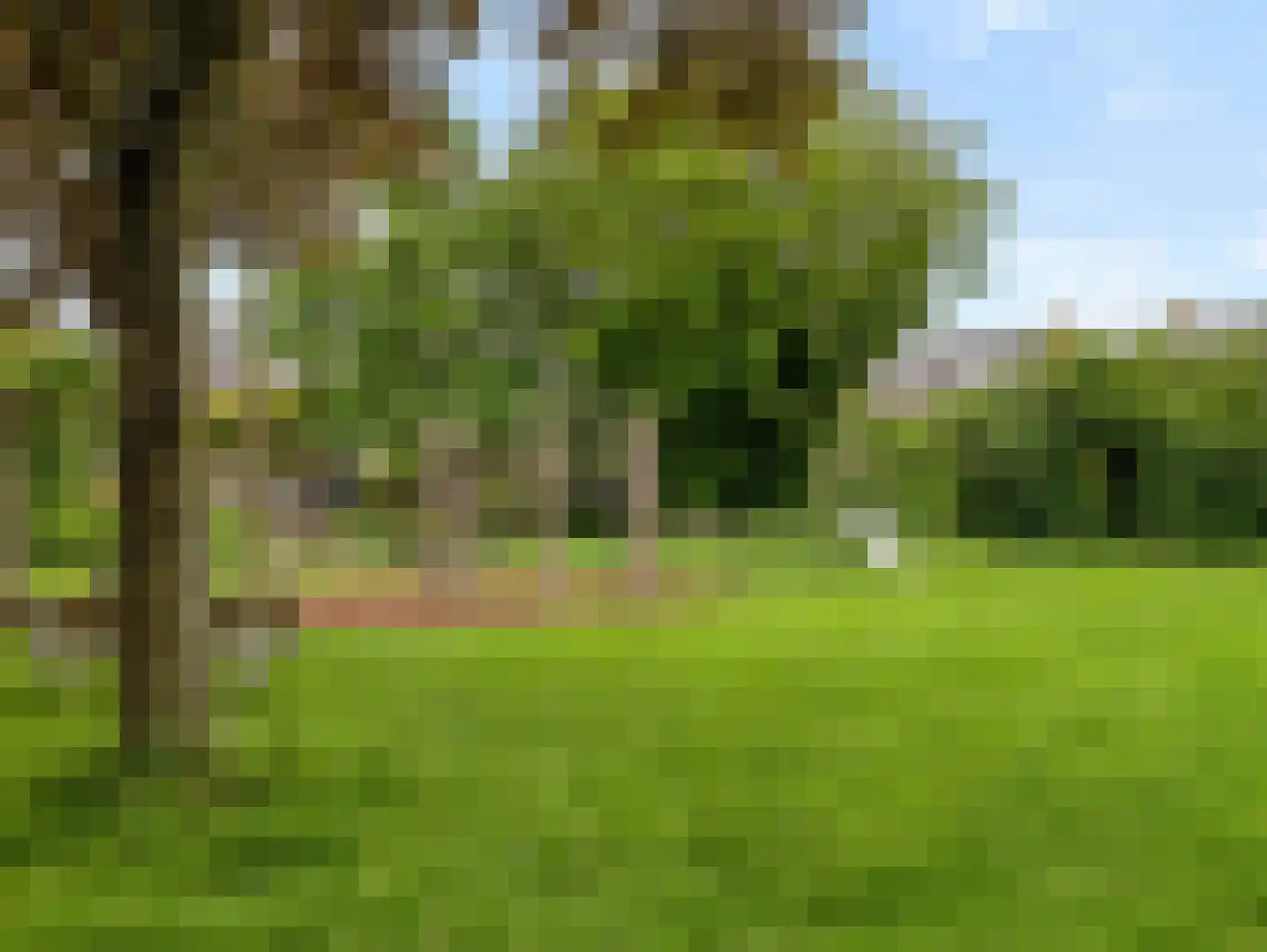 Rembrandtlaan 21 Vleuten thumbnail 4