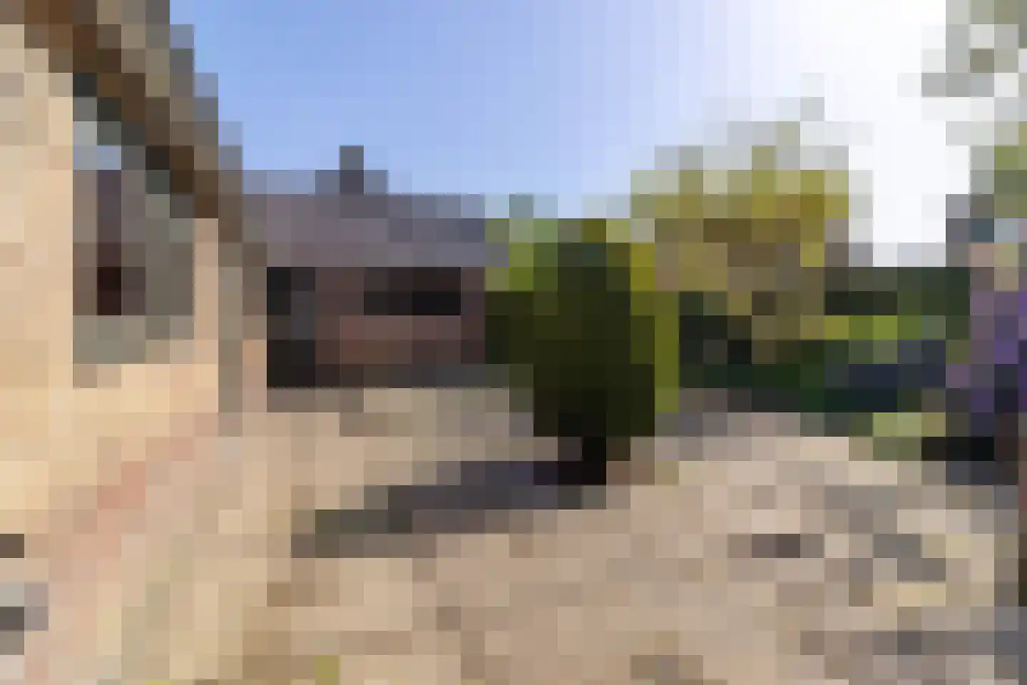 Rembrandtlaan 22 Baarn thumbnail 18