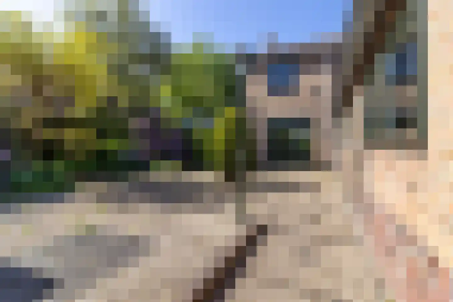 Rembrandtlaan 22 Baarn thumbnail 19