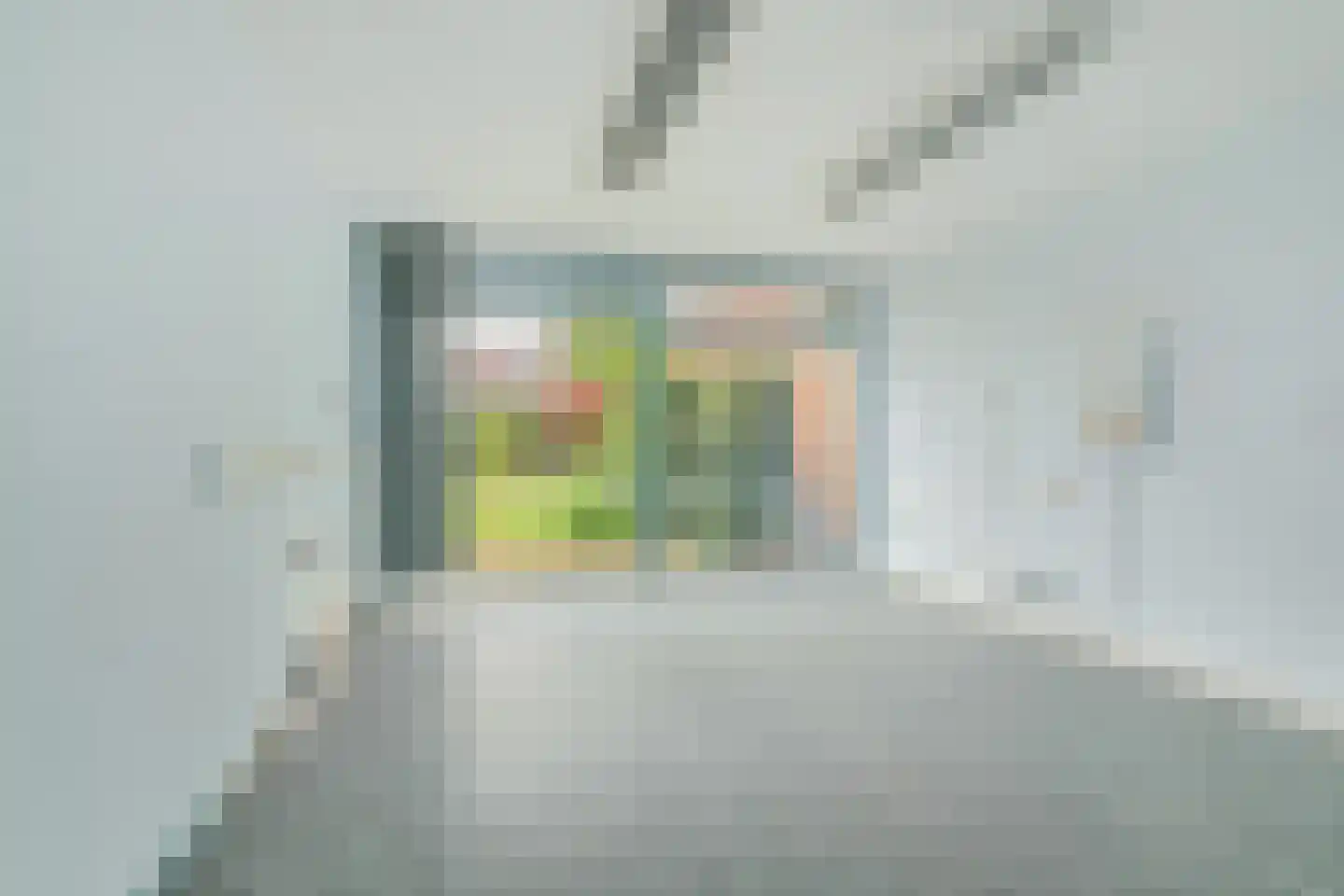 Rembrandtlaan 22 Oosterhout thumbnail 14