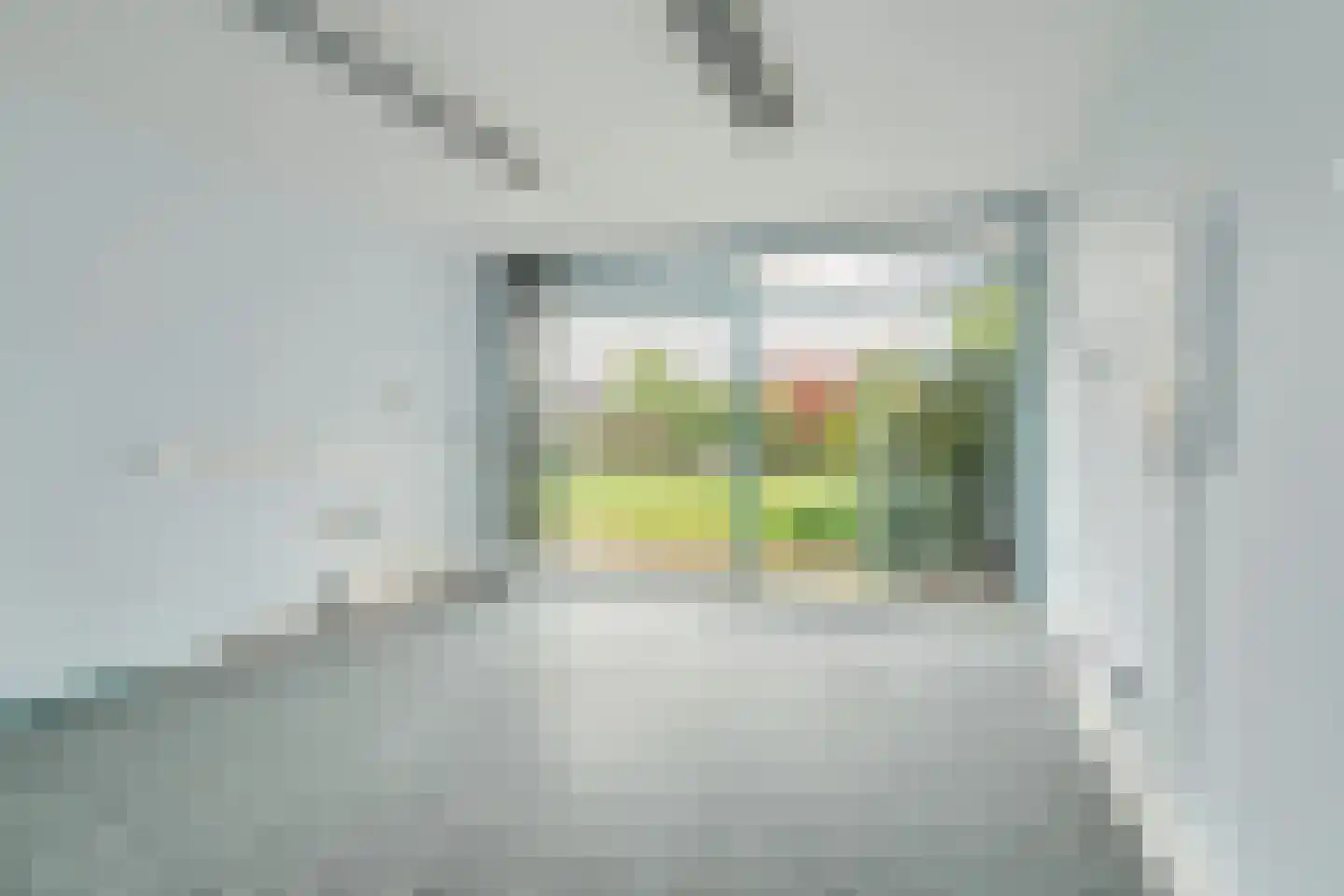 Rembrandtlaan 22 Oosterhout thumbnail 15