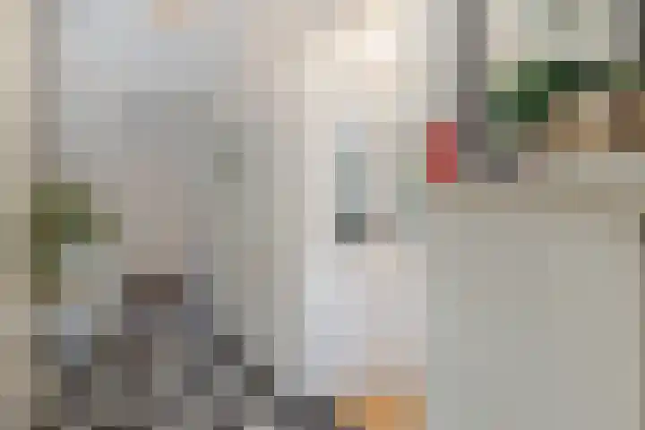 Rembrandtlaan 225 Sliedrecht thumbnail 17