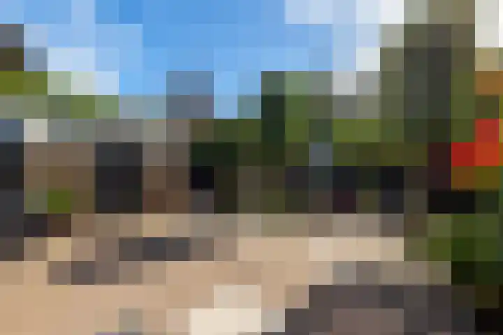Rembrandtlaan 225 Sliedrecht thumbnail 33
