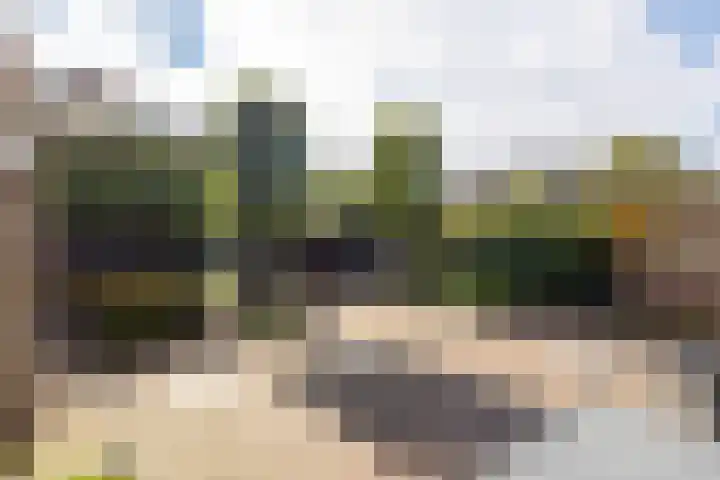 Rembrandtlaan 225 Sliedrecht thumbnail 34