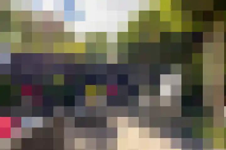Rembrandtlaan 225 Sliedrecht thumbnail 35