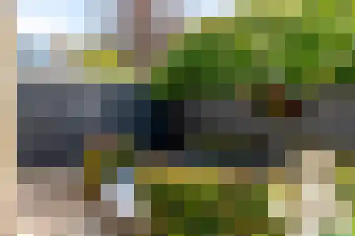 Rembrandtlaan 225 Sliedrecht thumbnail 38