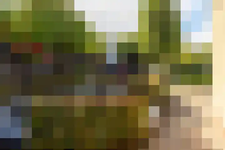 Rembrandtlaan 225 Sliedrecht thumbnail 4