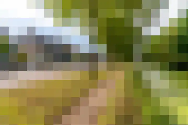 Rembrandtlaan 225 Sliedrecht thumbnail 5