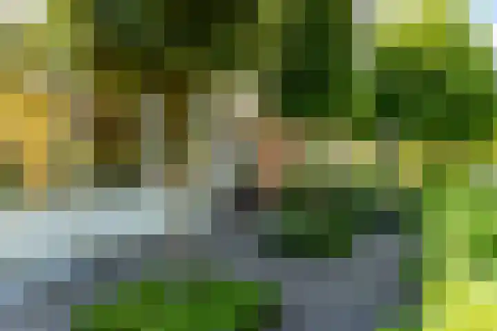 Rembrandtlaan 225 Sliedrecht thumbnail 6