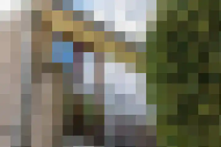 Rembrandtlaan 225 Sliedrecht thumbnail 7
