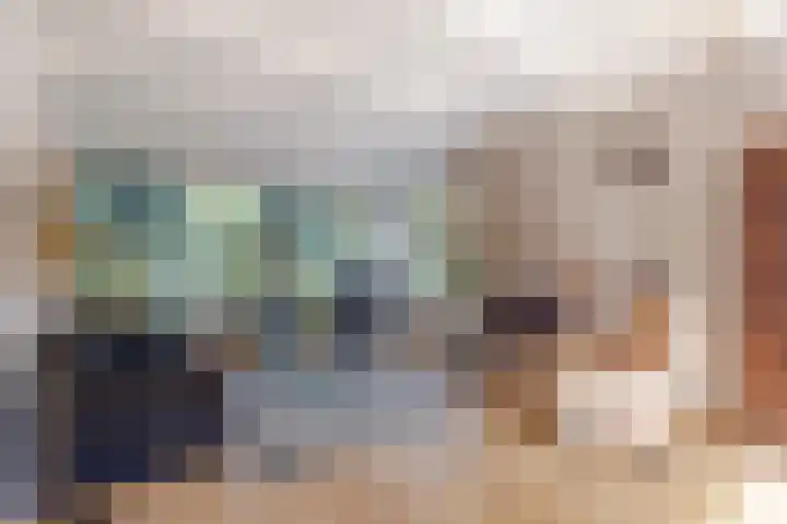 Rembrandtlaan 225 Sliedrecht thumbnail 8