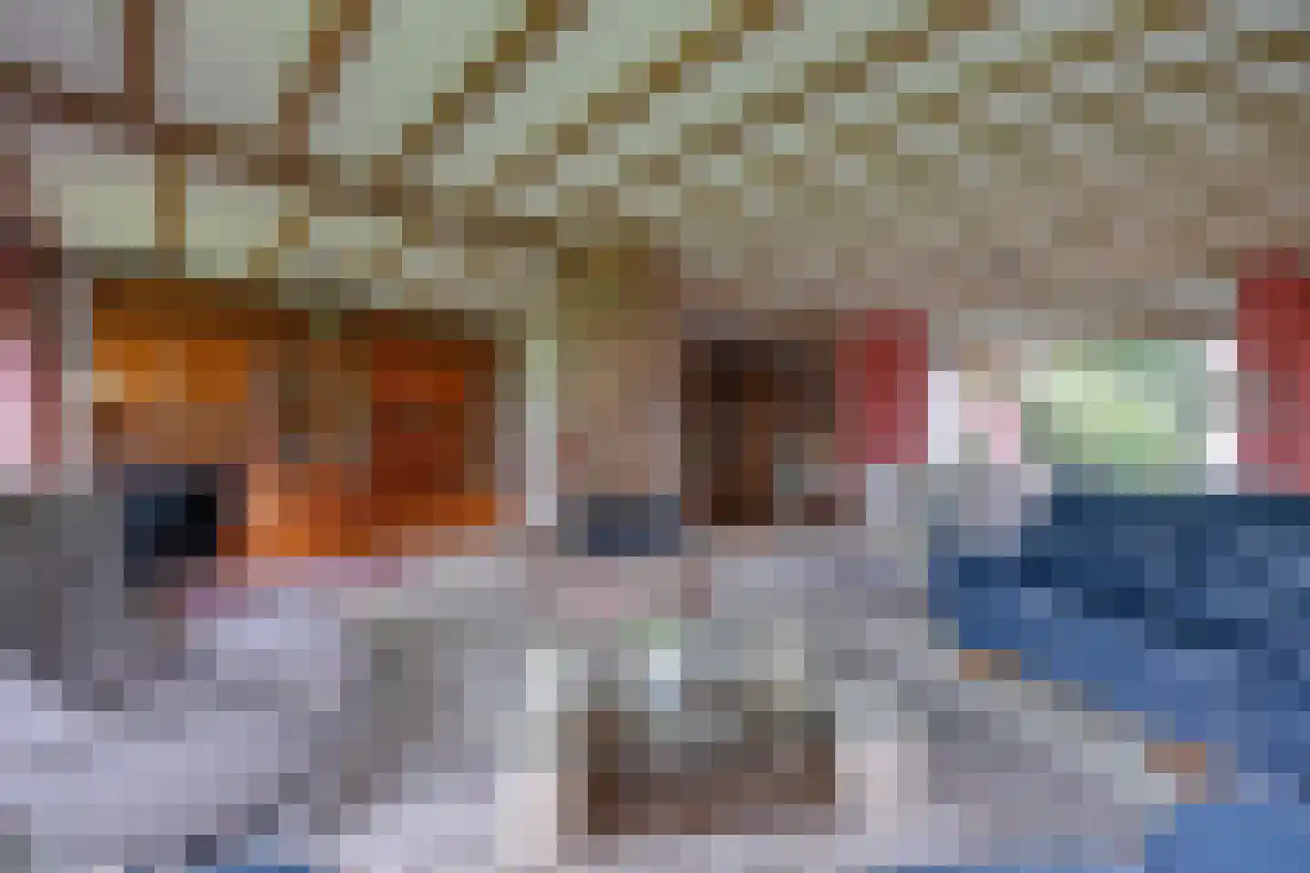 Rembrandtlaan 23 a Loosdrecht thumbnail 7