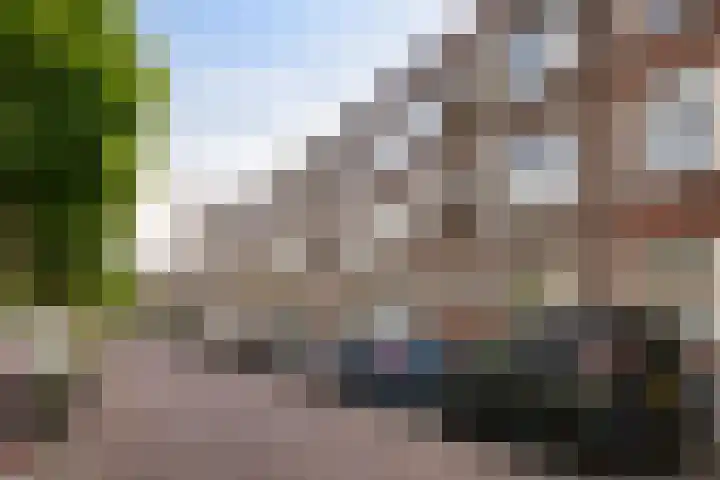 Rembrandtlaan 23 B Schiedam thumbnail 31