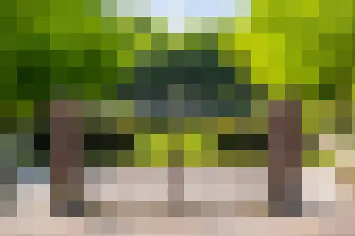 Rembrandtlaan 23 B Schiedam thumbnail 32