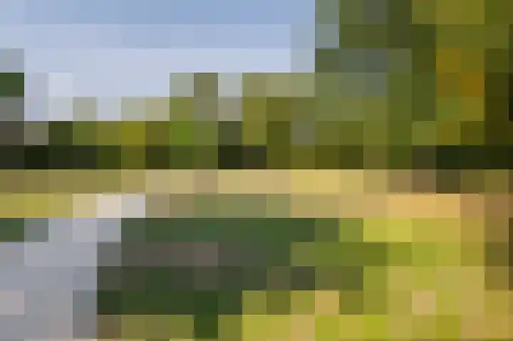 Rembrandtlaan 23 B Schiedam thumbnail 34