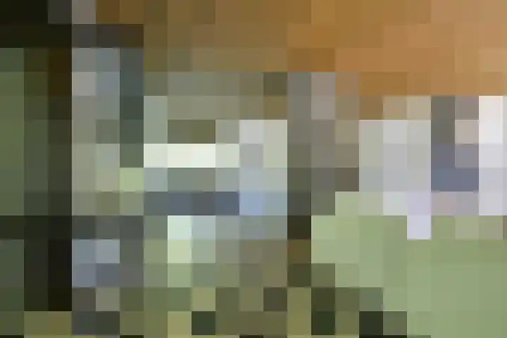 Rembrandtlaan 23 Doorn thumbnail 13