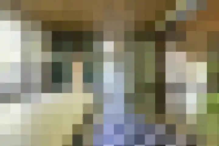 Rembrandtlaan 23 Doorn thumbnail 15