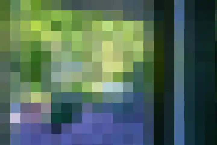 Rembrandtlaan 23 Doorn thumbnail 19