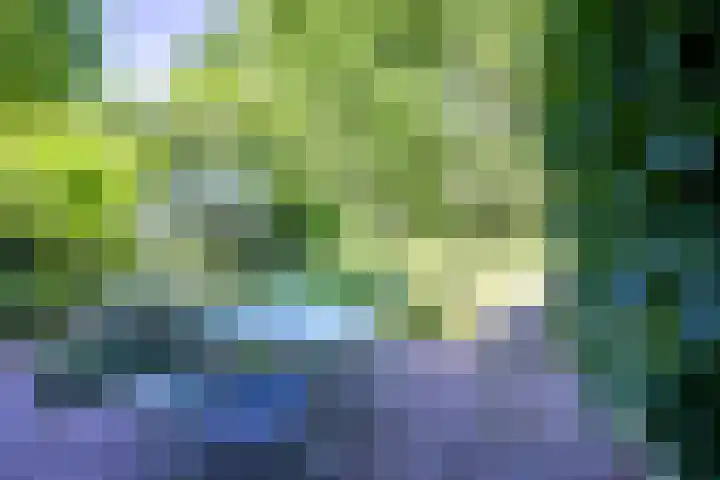 Rembrandtlaan 23 Doorn thumbnail 20
