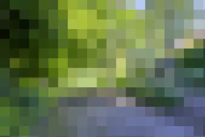 Rembrandtlaan 23 Doorn thumbnail 21