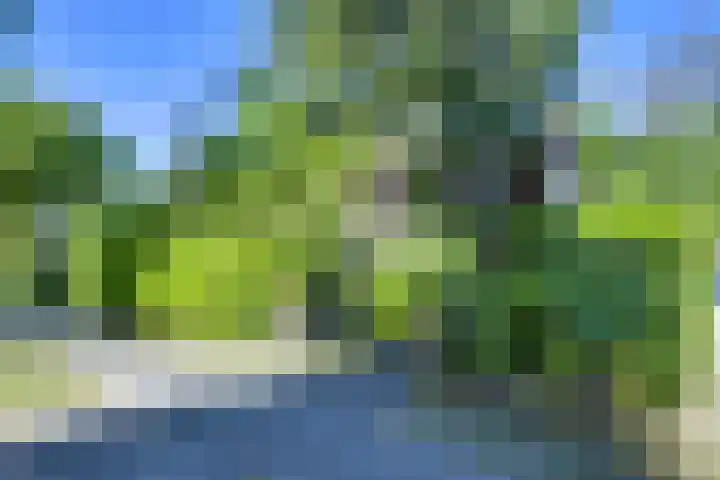 Rembrandtlaan 23 Doorn thumbnail 40