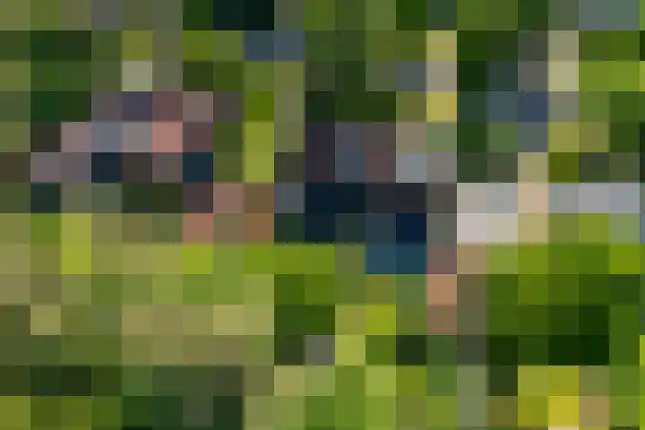 Rembrandtlaan 23 Doorn thumbnail 43