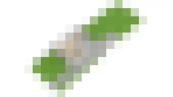 Rembrandtlaan 23 Doorn thumbnail 57