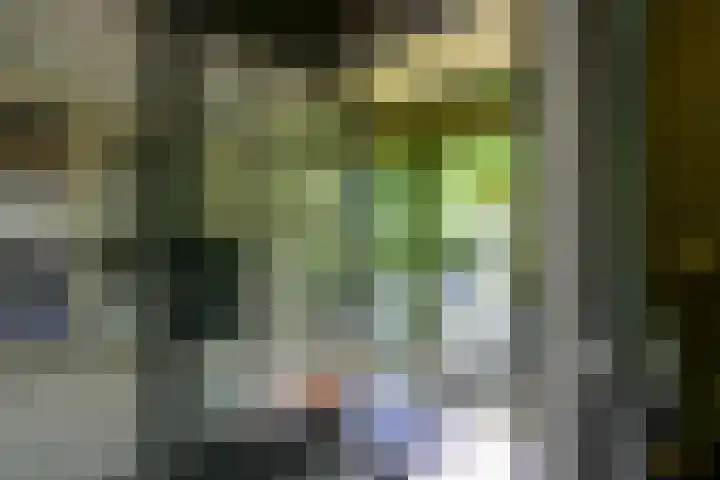 Rembrandtlaan 23 Doorn thumbnail 6
