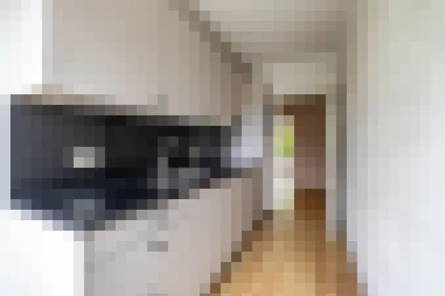 Rembrandtlaan 23 Hoogezand thumbnail 21