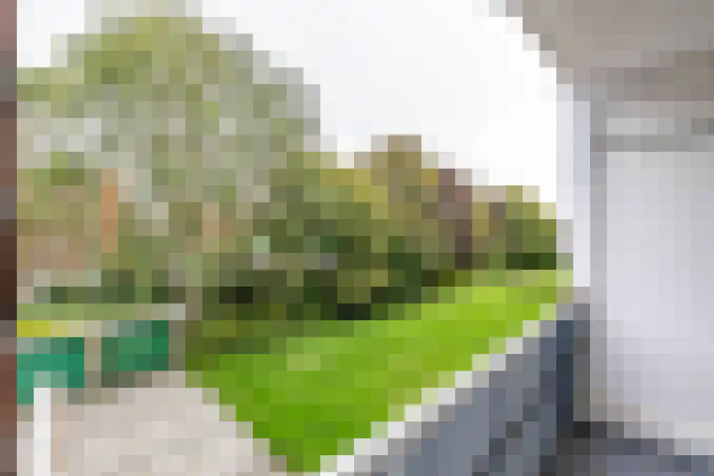 Rembrandtlaan 23 Hoogezand thumbnail 27
